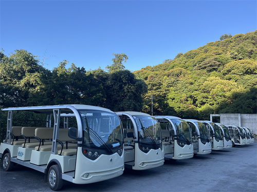 ultimo caso aziendale circa Le auto elettriche per le visite turistiche migliorano l'esperienza dei turisti