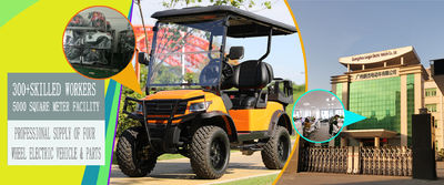 qualità Automobile turistica elettrica fabbrica