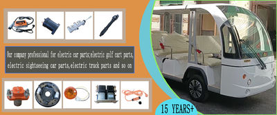 qualità Automobile turistica elettrica fabbrica