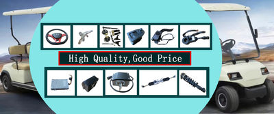 qualità Automobile turistica elettrica fabbrica