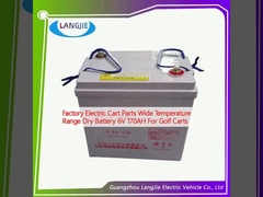 Fabbrica di parti di carrelli elettrici Batteria secca a larga gamma di temperatura 6V 170AH Per carrelli da golf