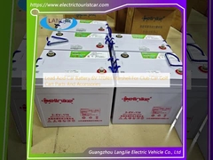 Batteria per auto a piombo acido 6V 170AH Marshell per auto da club Golf Cart Parti e accessori