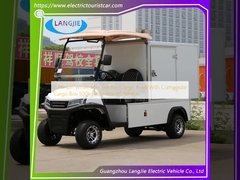 2 Persone Bianco Mini Cargo Electric Truck Con Composite Cargo Box 500kg 48v 4kw AC Motor