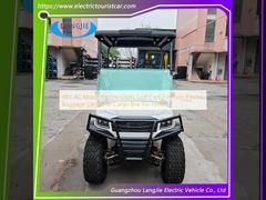 48V AC Motor Electric Utility Golf Cart 2 Persone Electric Baggage Cart Con Cargo Box Per Hotel
