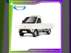 Resort Car 2 Passeggeri Electric Freigjt Car Electric Box Truck RWD Drive For Park
