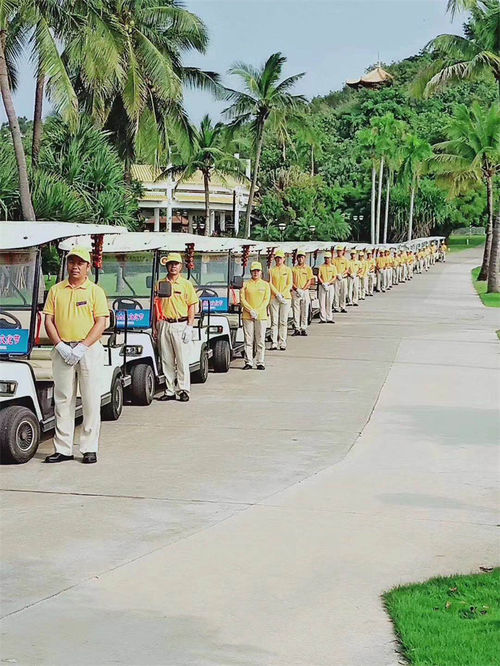 Ultime notizie aziendali su I versatili veicoli turistici da 8 a 14 posti