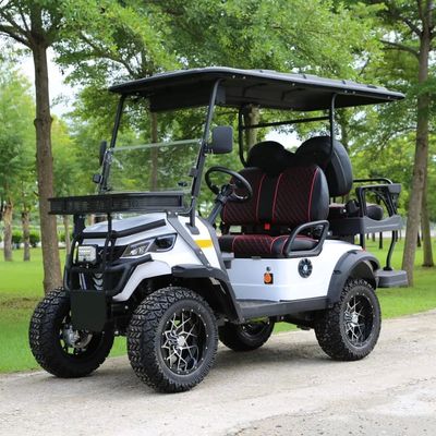 Un buon prezzo. 2025 New Electric Golf Cart With 14-Inch Wheels 10-Inch Display And Q235 Chassis For Golf Courses And Resorts in linea