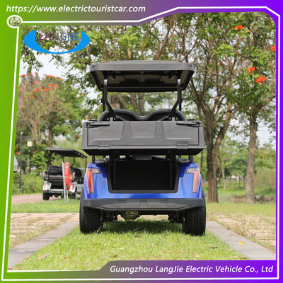 2 posti auto elettrica club auto veicolo utilitario con batteria acida di manutenzione gratuita logo personalizzato