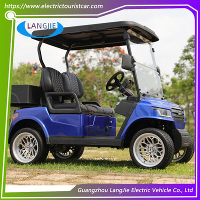 2 posti auto elettrica club auto veicolo utilitario con batteria acida di manutenzione gratuita logo personalizzato